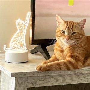 Meet your Posher, Aeri